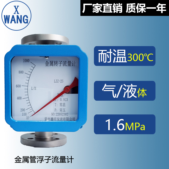水平安裝金屬管浮子流量計(jì)...