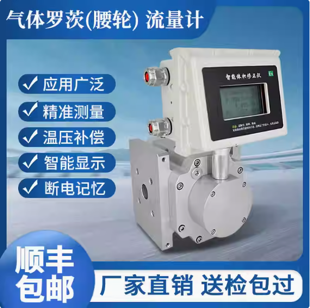 LLQ-65氣體羅茨腰輪流量計(jì)...