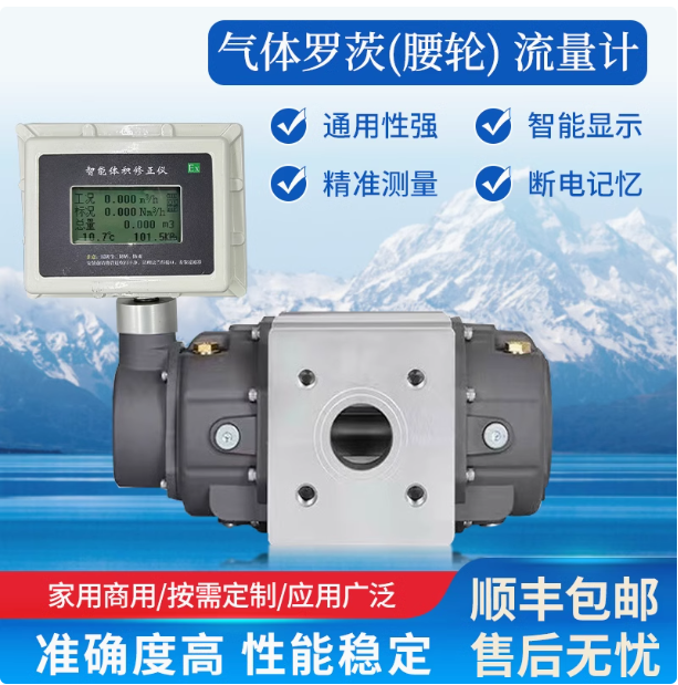 LLQ-100氣體羅茨腰輪流量計