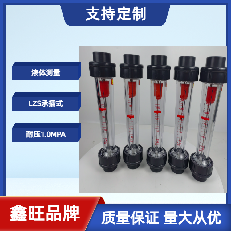 LZS-25塑料管浮子流量計