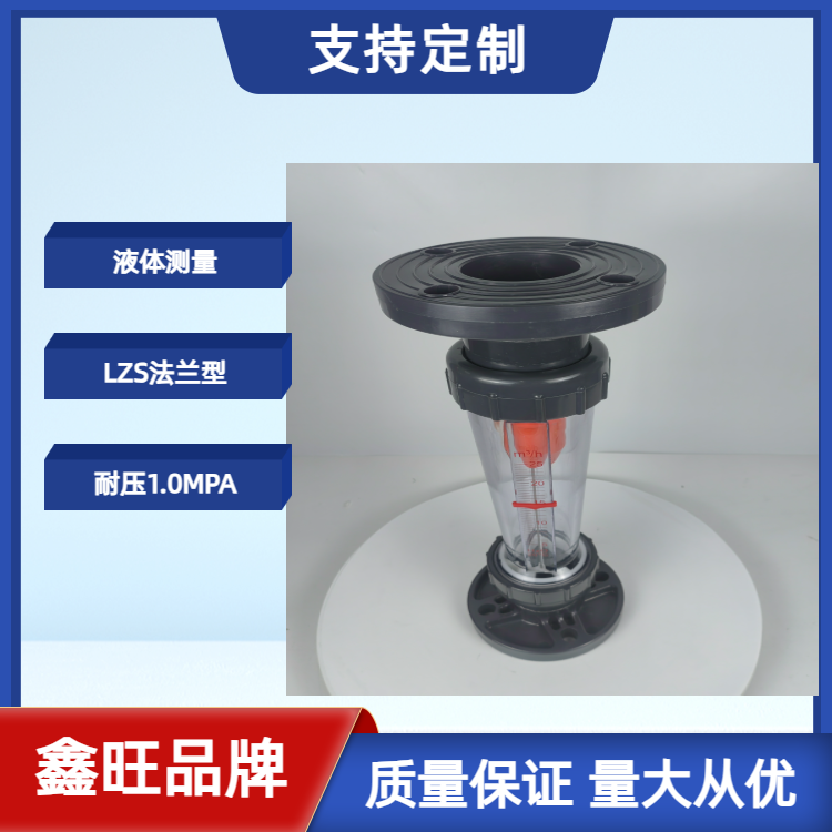 LZS-100塑料管浮子流量計...